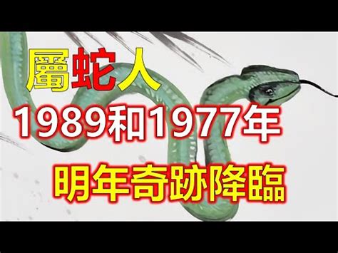 1989年是什么蛇|1989属蛇的五行 1989年属蛇蛇是什么命